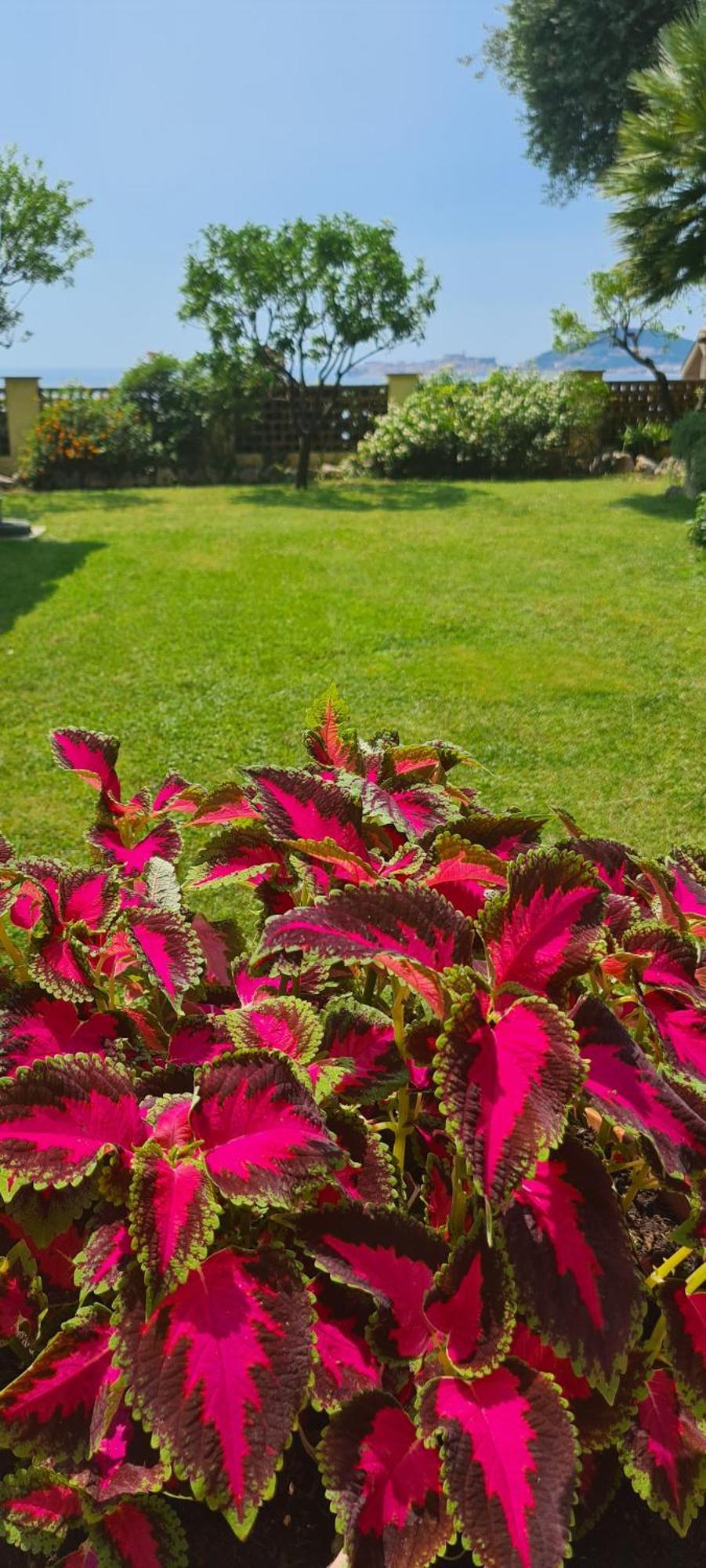 Villa Olga B&B Формия Экстерьер фото